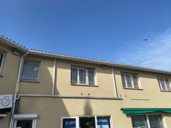 Local rental